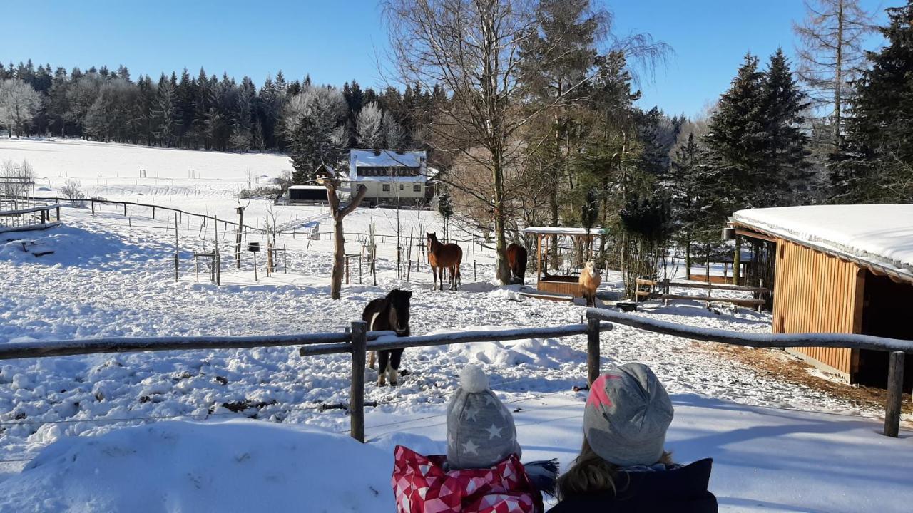 "Sporthuetten Nassau" Ihr Zentrales Domizil An Der Blockline Rechenberg-Bienenmuhle Luaran gambar